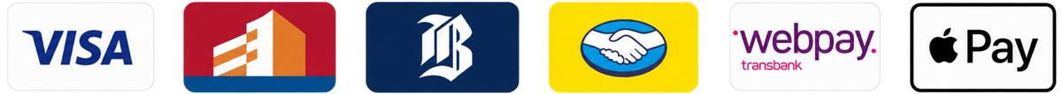 Visa, BancoEstado, Banco de Chile, Mercado Pago, Webpay y Apple Pay